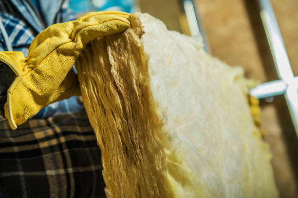 Best Garage Insulation Installation  in Trotwood, OH