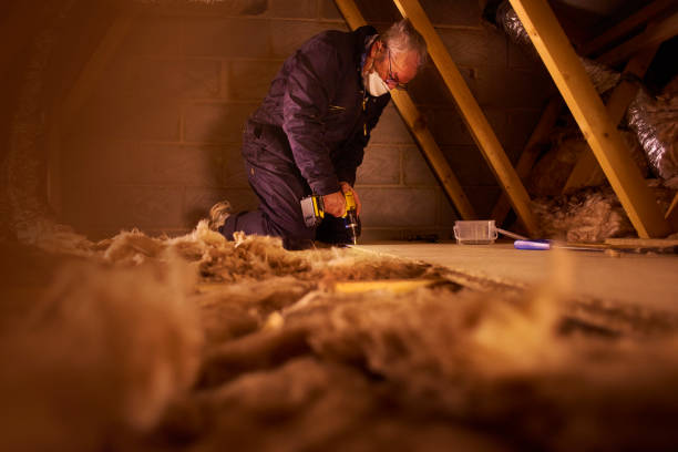 Best Energy-efficient Insulation  in Trotwood, OH